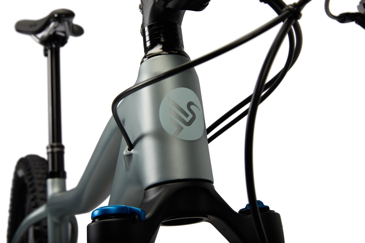 Ibis Cycles DV9 Silver Lining headtube detail