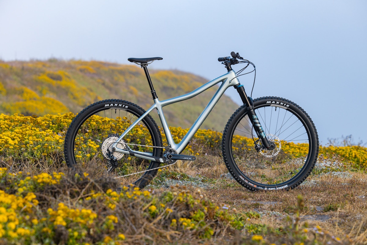 Ibis DV9 Silver Lining Hardtail outside in Santa Cruz, California