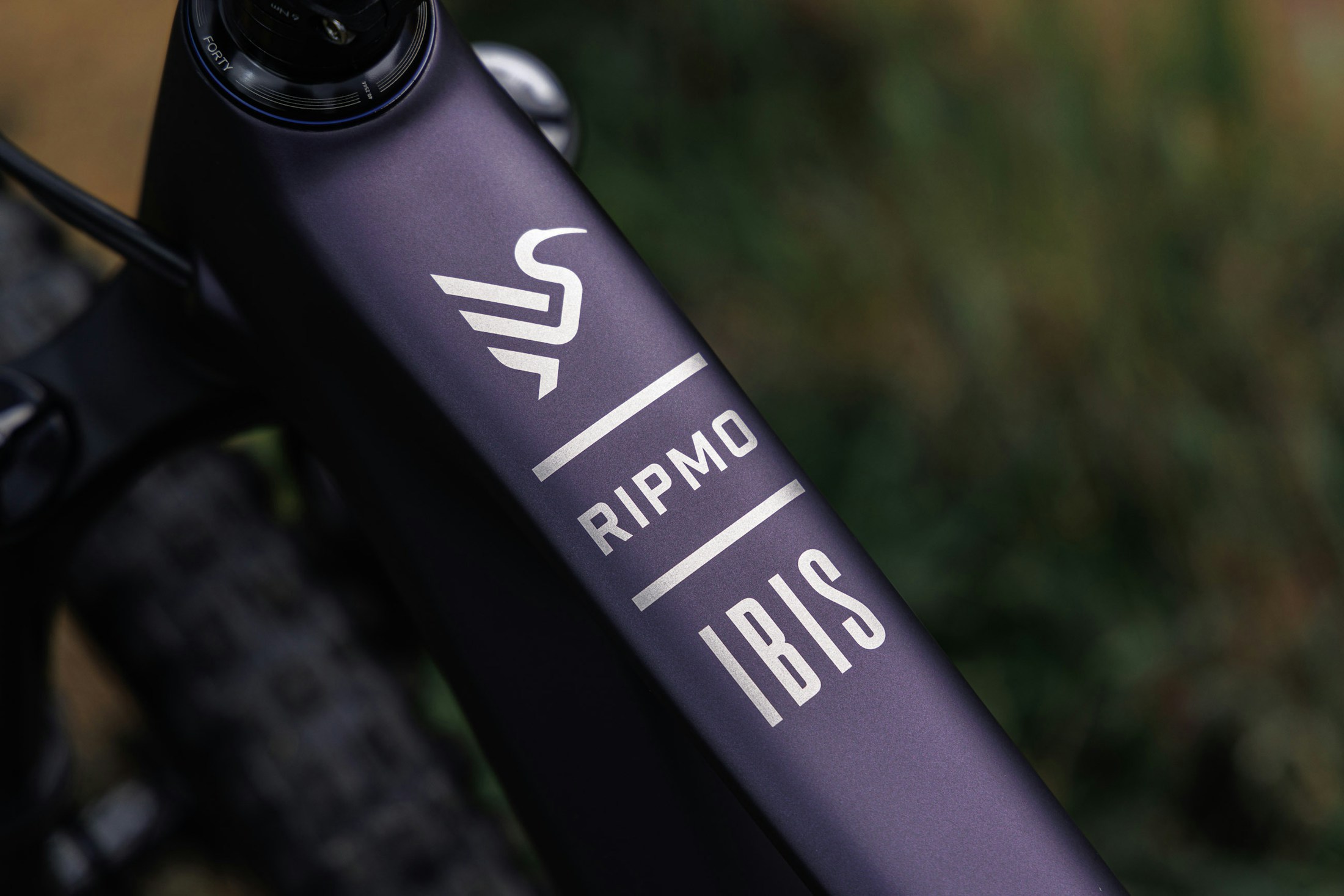 Ripmo - Ibis Cycles Inc.