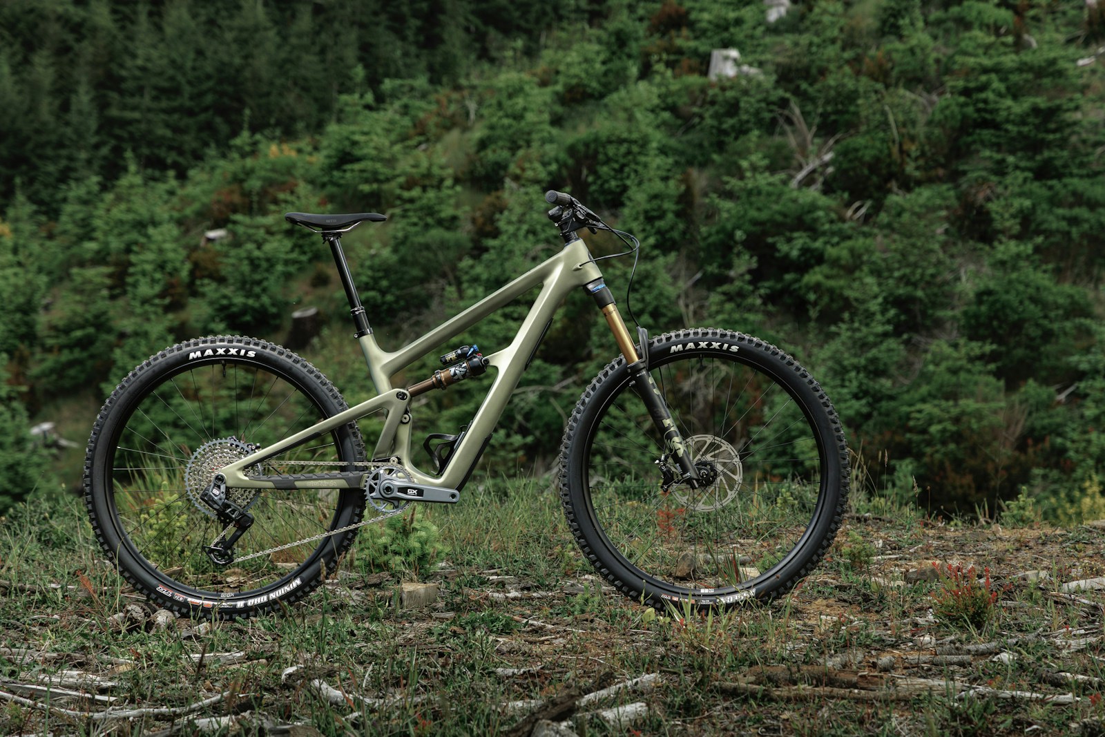 Ripmo - Ibis Cycles Inc.