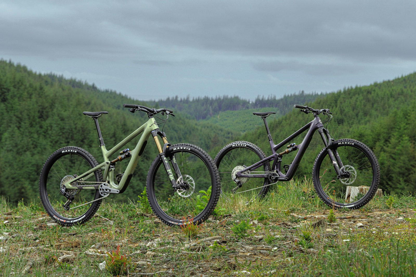 Ripmo - Ibis Cycles Inc.